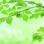 休日はおうちで過ごすおひとりさまが58%!我々は多数派だった!