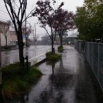 雨の中を歩いたり広島県民だけど家で作るのはモダン焼きだったりな日曜日