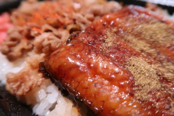 すき家のうな牛弁当