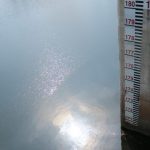 ダムで写真を撮っていたらめちゃくちゃでかい毛虫さんにドキッ!