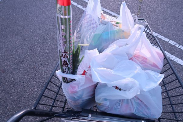 袋に入った食料品